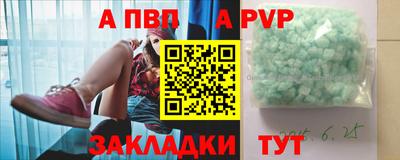 стафф Новоалександровск