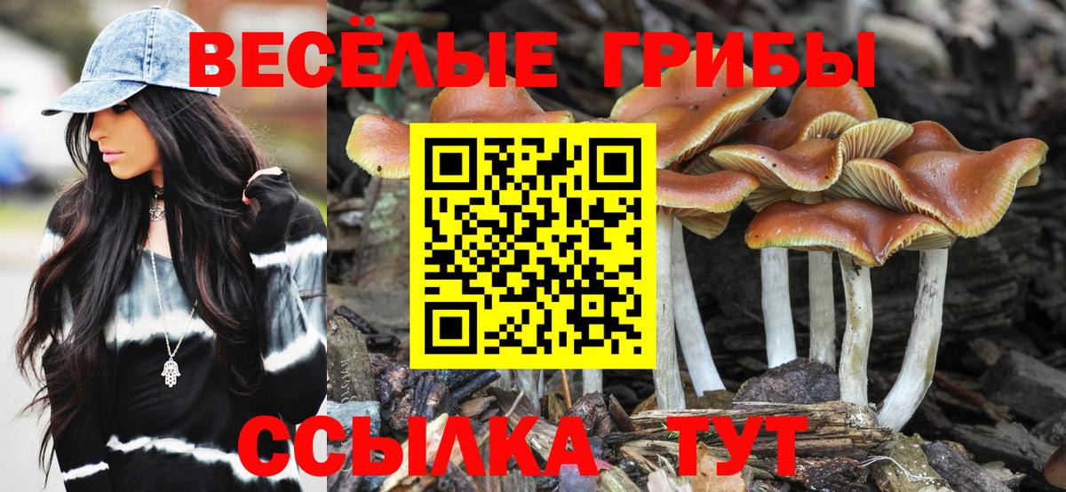Борисоглебск  Псилоцибиновые грибы MAGIC MUSHROOMS  цена   Псилоцибиновые грибы Psilocybe  Вход с VPN 