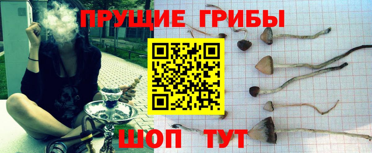 Галлюциногенные грибы Cubensis Борисоглебск